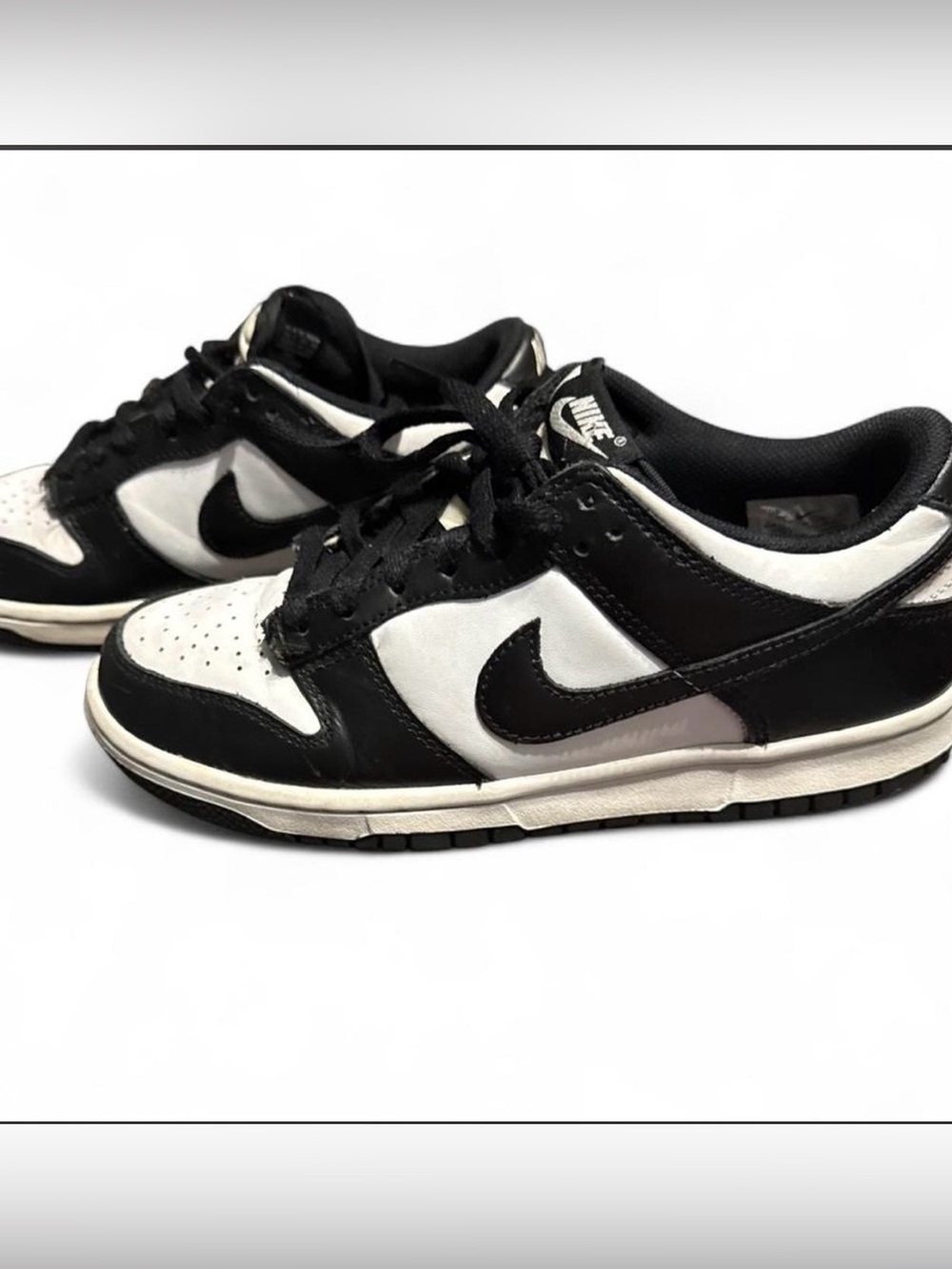 Big kids Nike Dunks